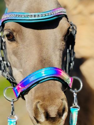 Image showing  Holographic Leather Bridle Set, Miniature Horse