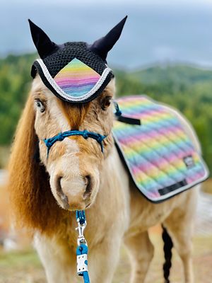 Image showing  Rainbow Sparkle Horse Ear Bonnet, Mini-Pony