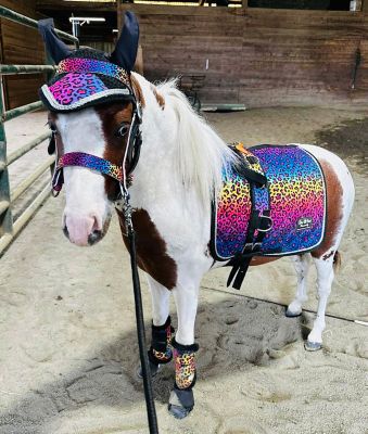 Image showing  Mini-Pony Rainbow Cheetah Horse Surcingle/Reins Set