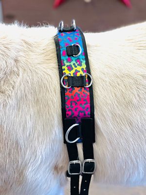 Star Point Horsemanship Mini-Pony Rainbow Cheetah Surcingle/Reins Set
