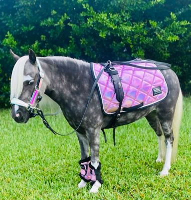 Image showing  Holographic All-Purpose English Saddle Pad, Pink
