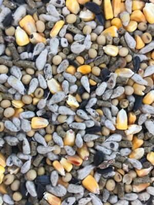 Image showing  5 lb. New York Cotton Candy