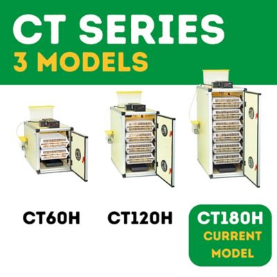 Image showing 6 th Hatching Time CT Series 180 Full Automatic Egg Incubator, Setter and Hatcher Combo