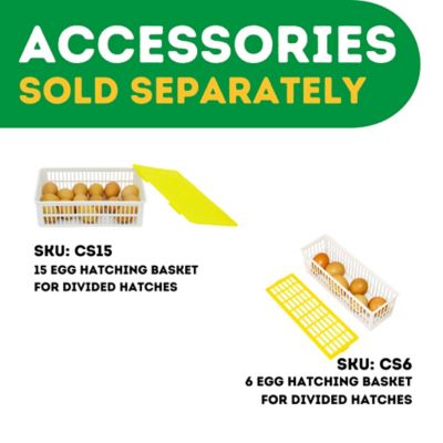 Image showing 7 th Hatching Time CT Series 180 Full Automatic Egg Incubator, Setter and Hatcher Combo