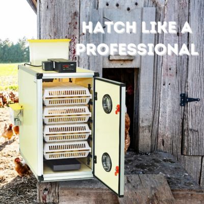 Image showing 9 th Hatching Time CT Series 180 Full Automatic Egg Incubator, Setter and Hatcher Combo