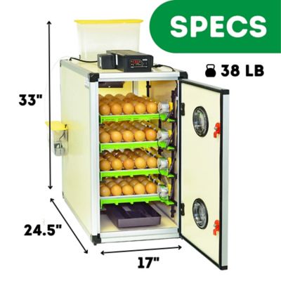 Image showing  CT Series 120 Full Automatic Egg Incubator, Setter and Hatcher Combo