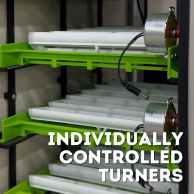 Image showing 5 th Hatching Time CT Series 120 Full Automatic Egg Incubator, Setter and Hatcher Combo