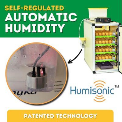 Image showing 6 th Hatching Time CT Series 120 Full Automatic Egg Incubator, Setter and Hatcher Combo