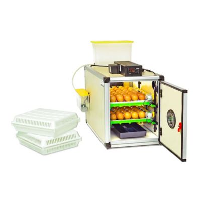 Cimuka CT60SH Egg Incubator (Setter and Hatcher Combo)