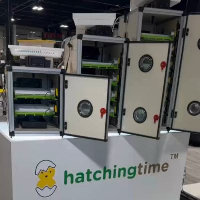 Image showing  CT Series 60 Full Automatic Egg Incubator (Setter and Hatcher Combo)