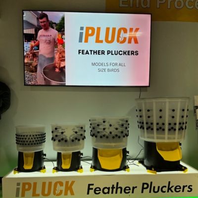 Image showing 7 th Hatching Time iPluck Goose, Duck Feather Plucker