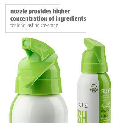 Image showing  Fresh Fogger Deodorizing Spray, 3 oz.