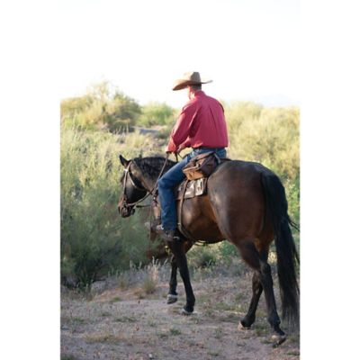 Image showing  Trail Gear Polyester Saddle Bags