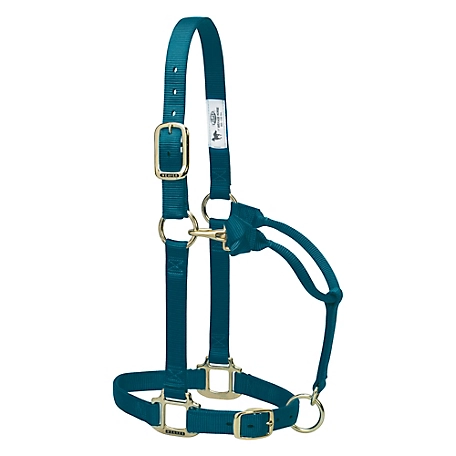 Weaver Leather Original Adjustable Chin and Throat Snap Halter, 3/4 in., Weanling, Teal