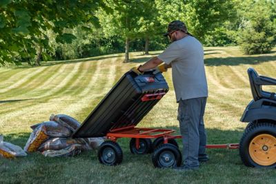 Image showing 7 th Agri-Fab Poly Swivel and Dump Garden Cart