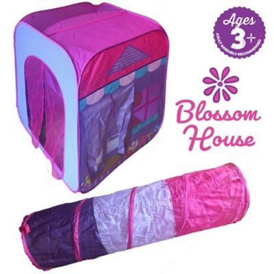Blossom House Tent & Tunnel Combo - M&M Sales Enterprises MM00192