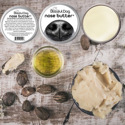 Image showing  Nose Butter Balm for Dogs, 2 oz.