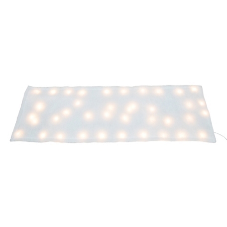 ProductWorks 60 x 15 Brilliant Snow Cover 60Led Ac 8 Function Controller (20620), 20056_MYT