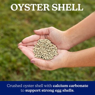 Image showing 5 th Nutrena NatureWise Oyster Shell Poultry Supplement, 7 lb.