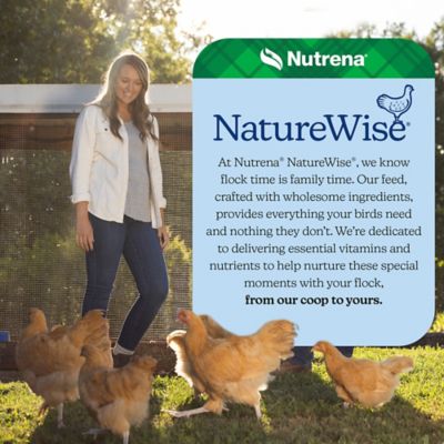 Image showing 8 th Nutrena NatureWise Oyster Shell Poultry Supplement, 7 lb.