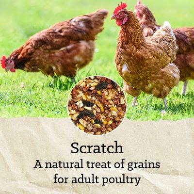 Image showing  Hi Pro Scratch Poultry Grains