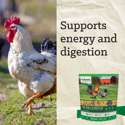 Image showing 9 th Nutrena Hi Pro Scratch Poultry Grains