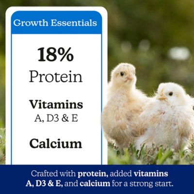 Image showing  Chick Starter Grower Medicated Chicken Feed, 7 lb. Bag