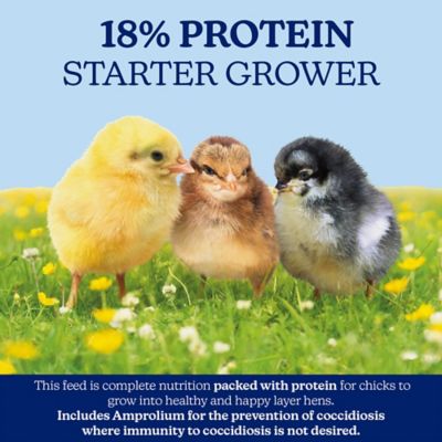 Image showing 6 th Nutrena NatureWise Chick Starter Grower Medicated Chicken Feed, 7 lb. Bag