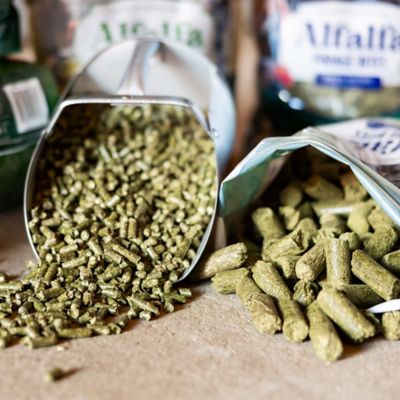 Image showing 5 th Standlee Alfalfa Forage Bites Star Anise Flavor Cattle Treats, 5 lb.