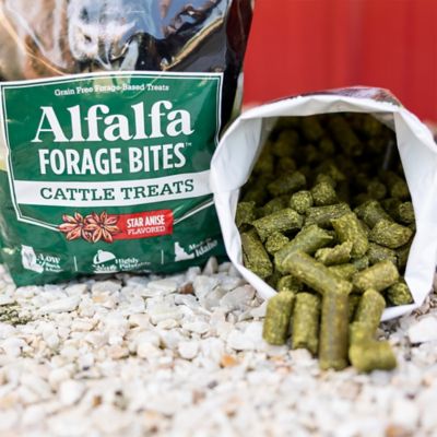 Image showing 6 th Standlee Alfalfa Forage Bites Star Anise Flavor Cattle Treats, 5 lb.