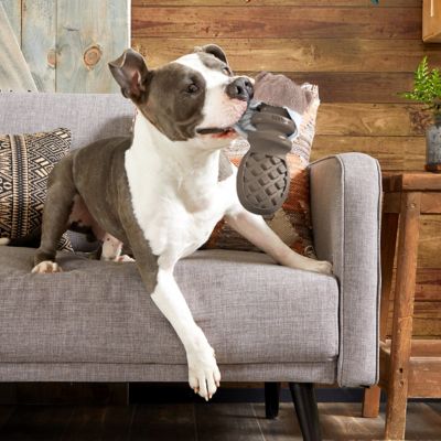 Image showing  P.B. Beaver Plush Dog Toy