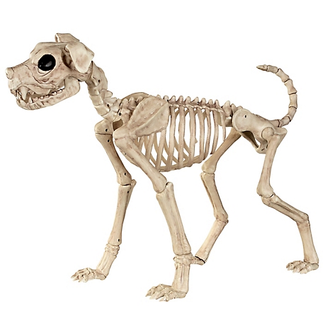 Red Shed Halloween Dog Skeleton