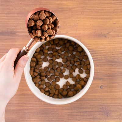 Image showing  Adult Bison and Rice Recipe Dry Dog Food, 35 lb. Bag