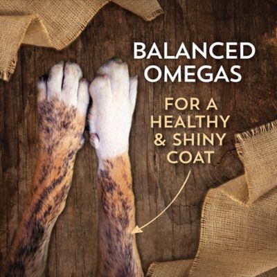 Image showing 5 th Wholesomes Adult Bison and Rice Recipe Dry Dog Food, 35 lb. Bag