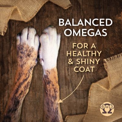 Image showing 5 th Wholesomes Large Breed Puppy Chicken and Brown Rice Recipe Dry Dog Food, 35 lb. Bag