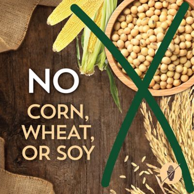 Image showing 6 th Wholesomes Large Breed Puppy Chicken and Brown Rice Recipe Dry Dog Food, 35 lb. Bag