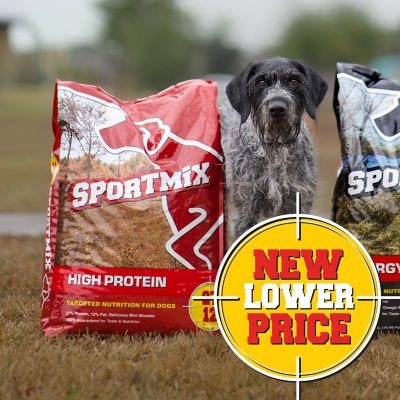 Image showing  Adult High-Protein Beef Recipe Dry Dog Food, 40 lb. Bag