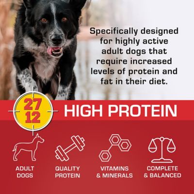 Image showing  Adult High-Protein Beef Recipe Dry Dog Food, 40 lb. Bag