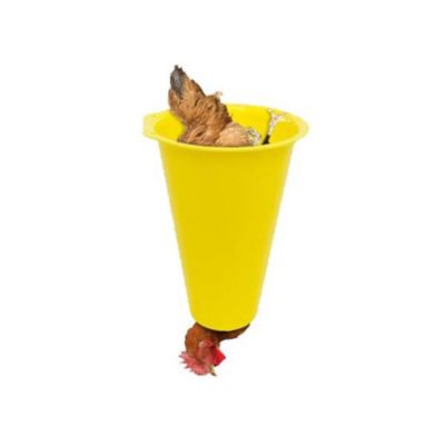 Image showing  3 pk. Chicken Restraining, Processing Cone