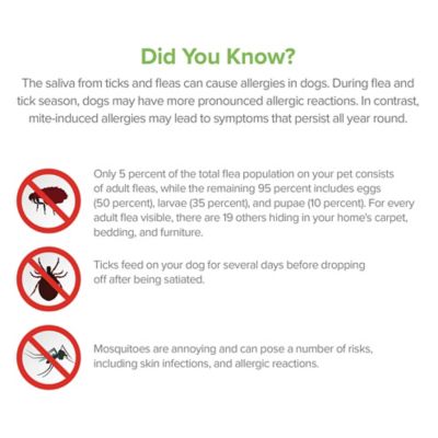 Image showing  Flea Tick Spray Refill for Dogs