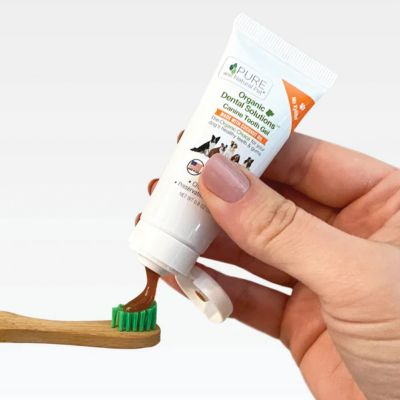 Image showing  Organic Dental Solutions Canine Tooth Gel with Large Eco-Friendly Bamboo Toothbrush for Dogs