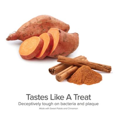 Image showing  Organic Dental Solutions Canine Tooth Gel with Large Eco-Friendly Bamboo Toothbrush for Dogs