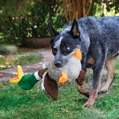 Image showing  Shakers Honkers Duck Plush Dog Toy