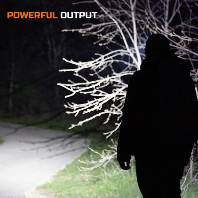 Image showing  1,000-Lumen Rechargeable Weatherproof 2-Color Flashlight