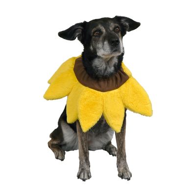 Retriever Sunflower Dog Costume