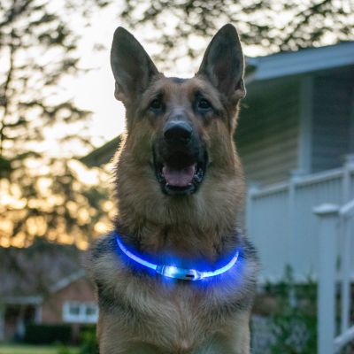 Image showing  Coastal USB Light-Up Neck Ring, Blue, 24 in. Maximum