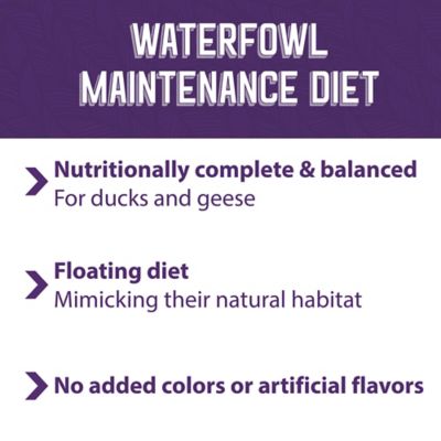 Image showing  Waterfowl Maintenance Duck and Geese Food, 12 lb. Bag