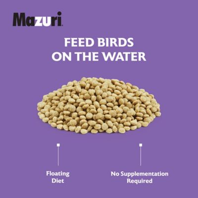 Image showing  Waterfowl Maintenance Duck and Geese Food, 12 lb. Bag