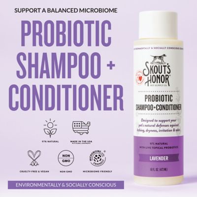 Image showing  Probiotic Shampoo Plus Conditioner Lavender