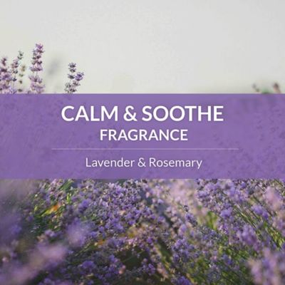 Image showing 7 th Skout's Honor Probiotic Shampoo Plus Conditioner Lavender